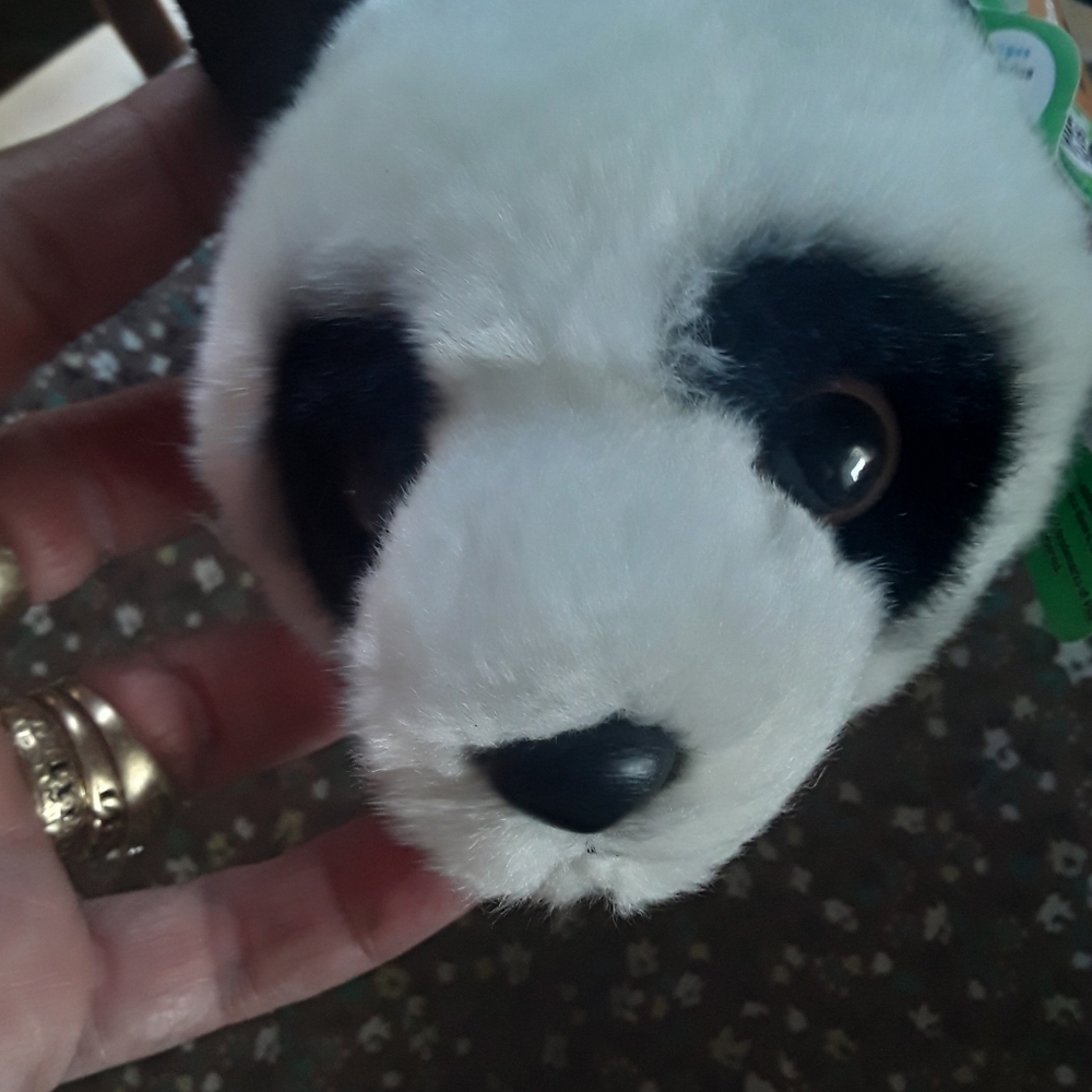 Panda Miyoni New Stuffed Animsl